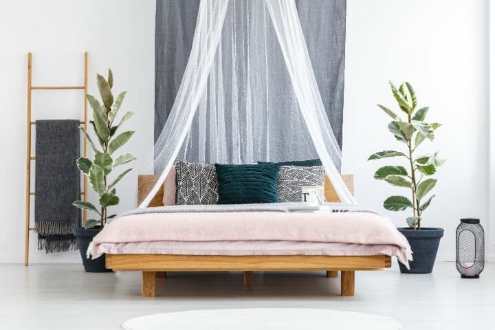 Where To Buy Bed Canopy
